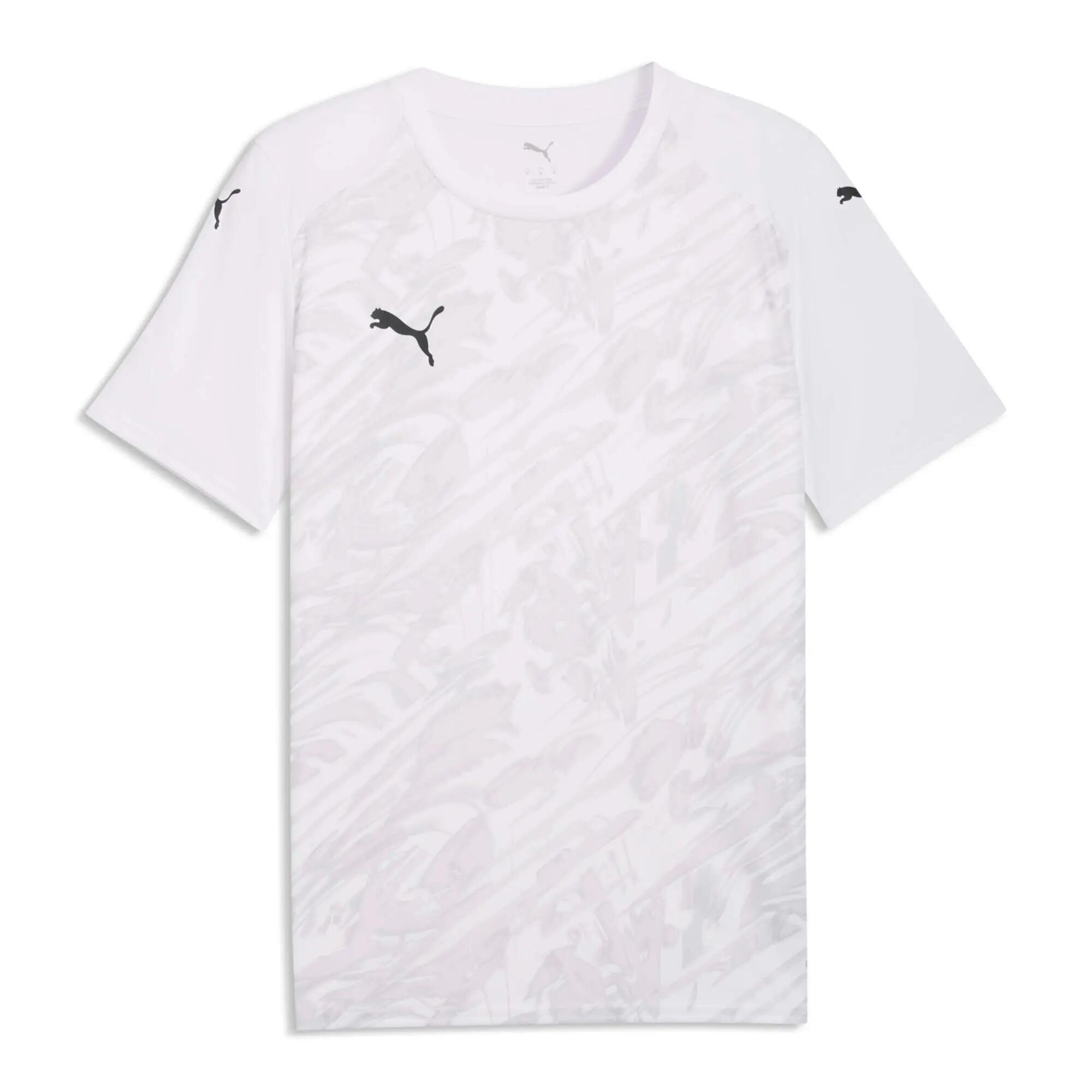 PUMA picture