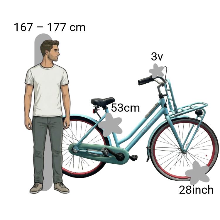 De segunda mano Gazelle NL 2/4