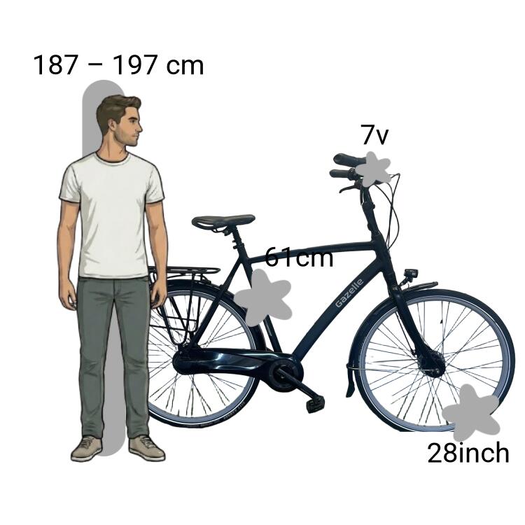 Bicicletta usata Gazelle Chamonix Bijna Nieuwe 2/4