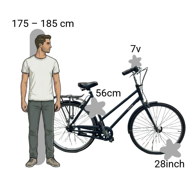 Bicicletta usata Union Flow 2/4