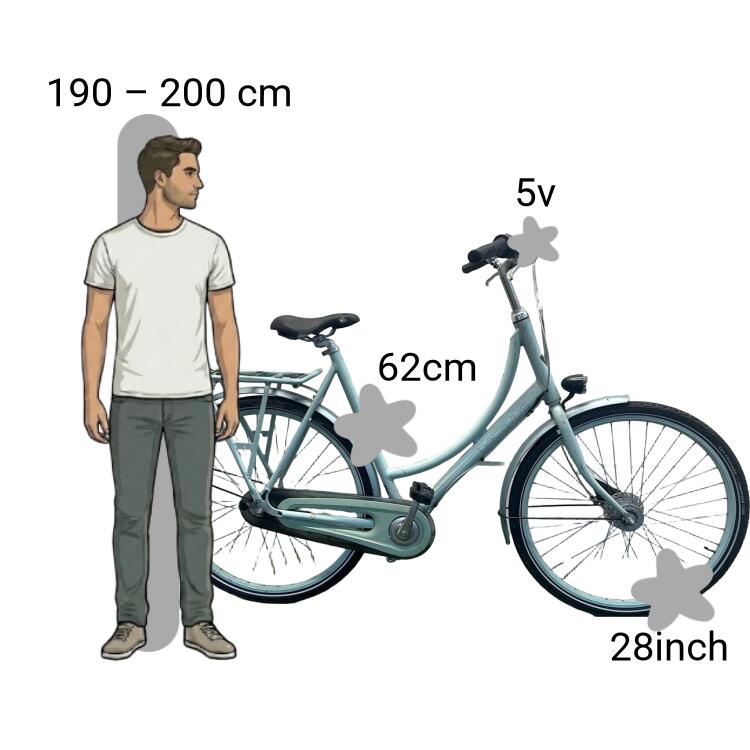 Bicicletta usata Batavus Diva 2/4
