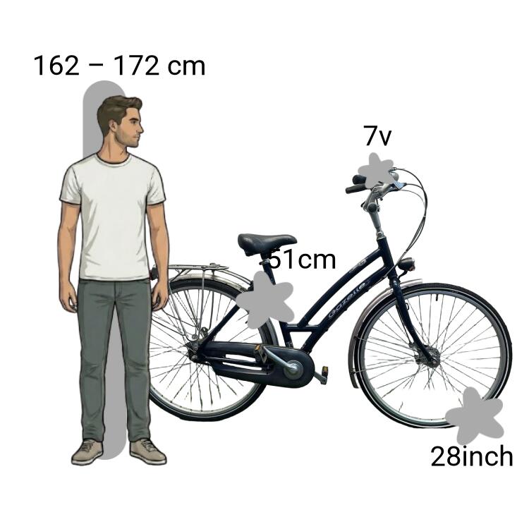 Bicicletta usata Gazelle Davos 2/4