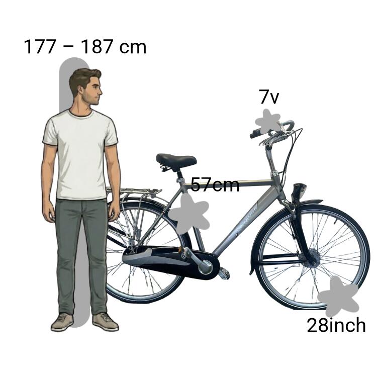 Tweedehands Batavus Maacato 2/4