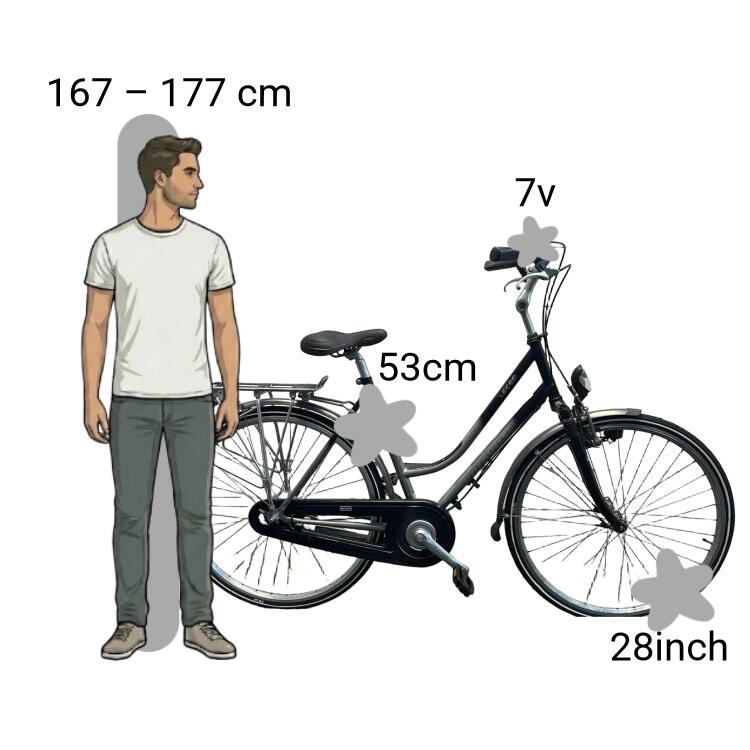 Bicicletta usata Batavus Lecco 2/4