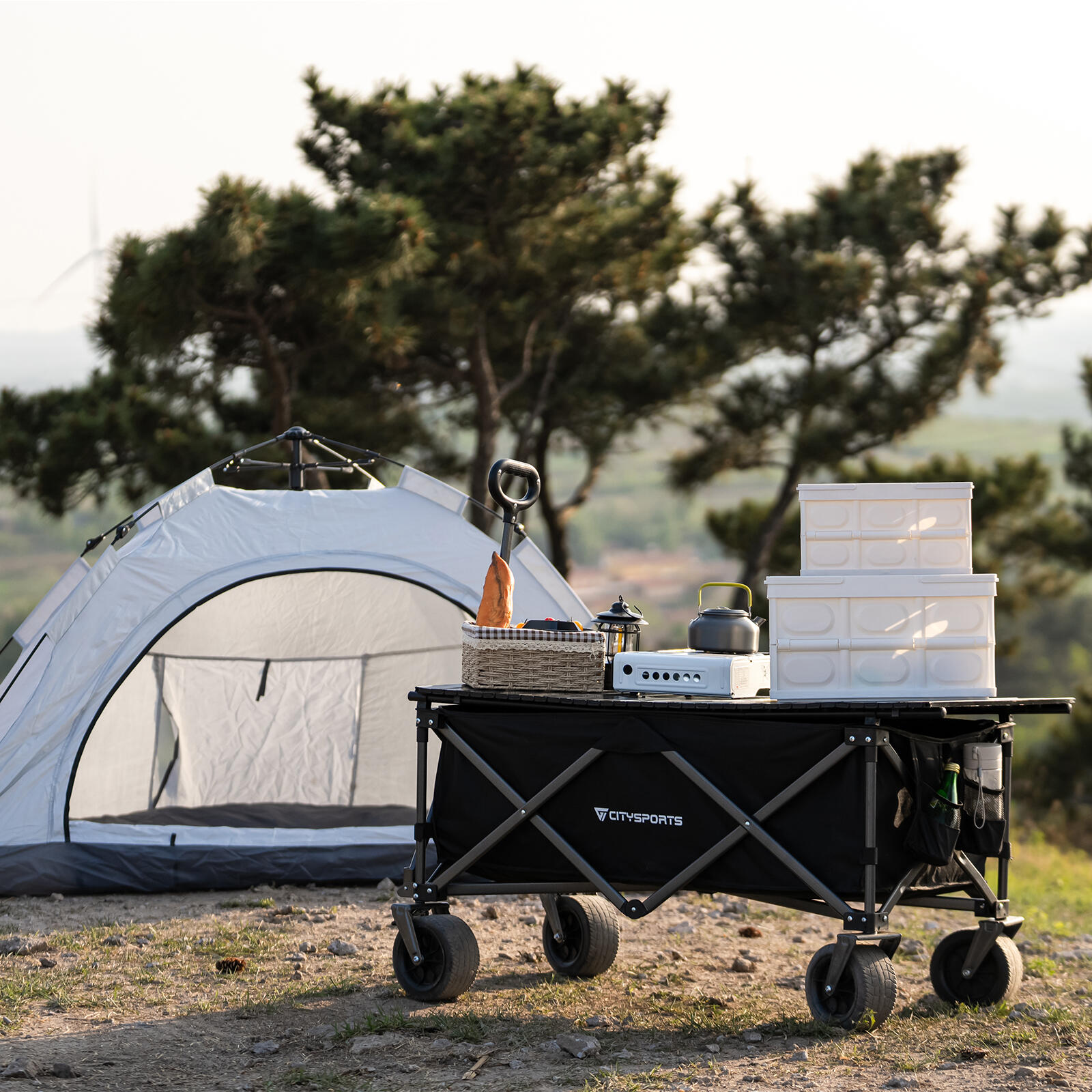 Chariot de Camping, Chariot Pliable avec Plateau Amovible, Noir 7/7