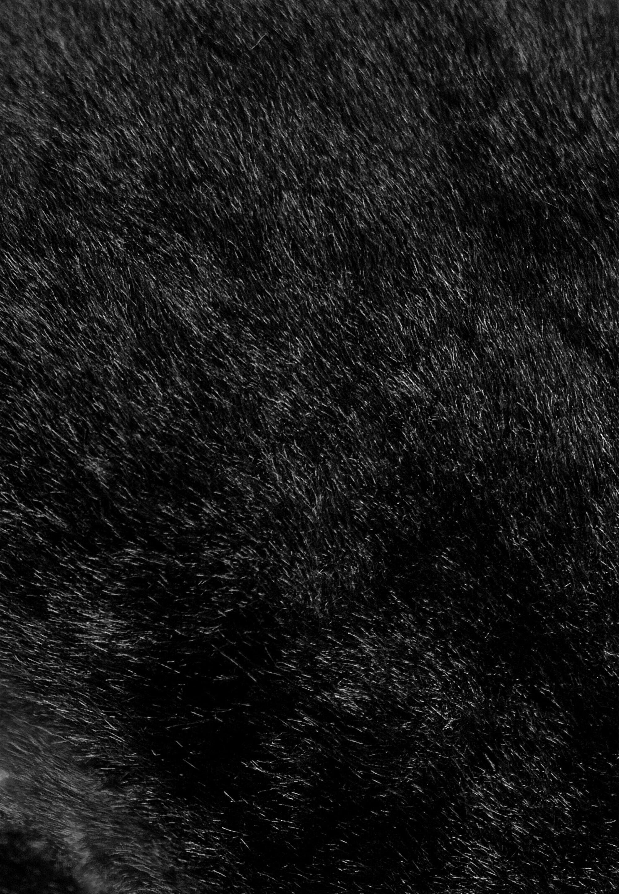 Rękawice damskie Reusch Molly R-TEX® XT Mitten 7/7