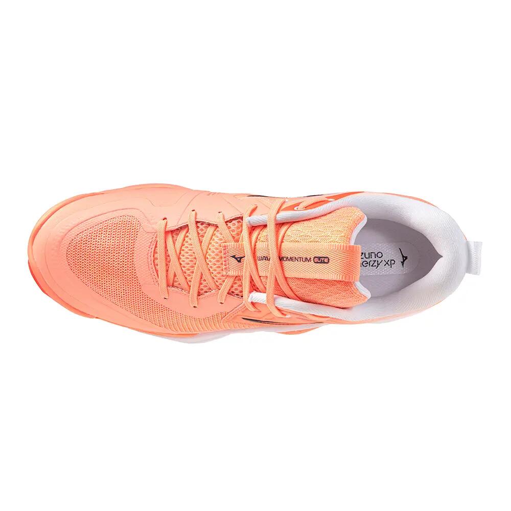Scarpe indoor Mizuno Wave Momentum Elite 4/6