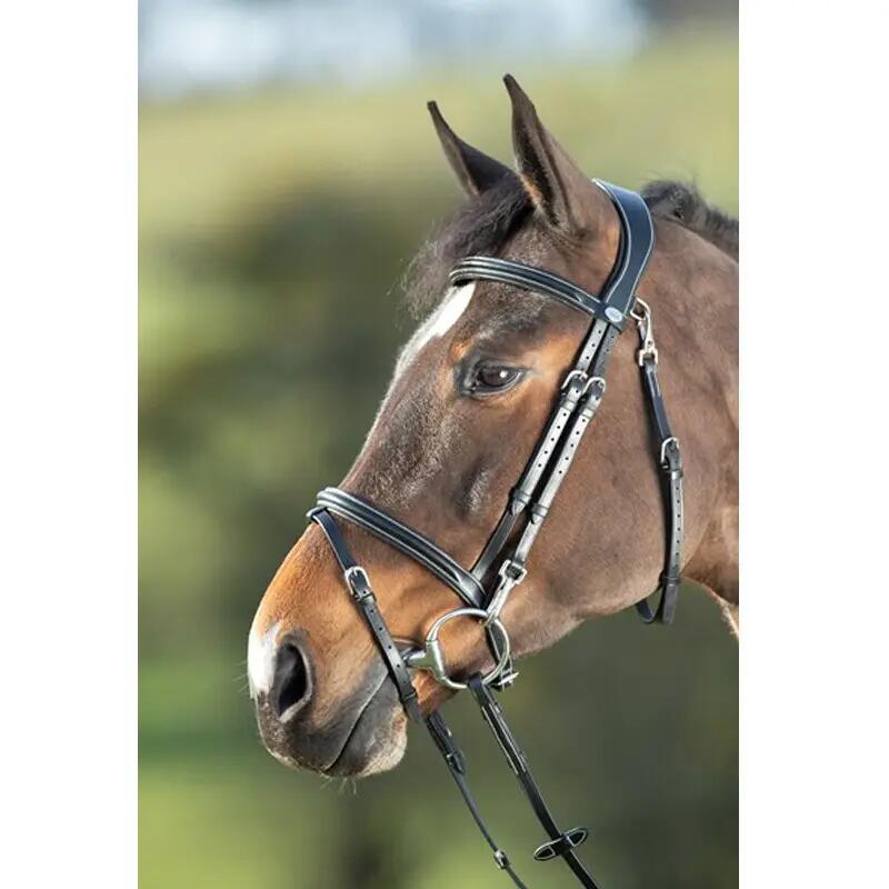 Briglie da equitazione HFI Functional 2/2