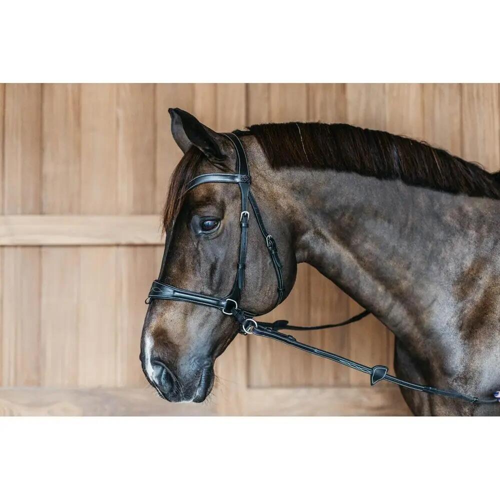 Briglia da equitazione Dy'on Working Motion 3/5