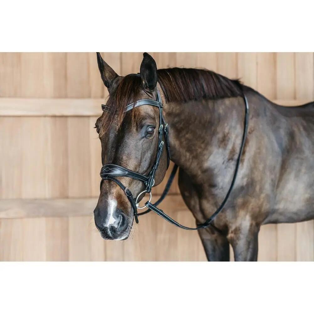 Briglia da equitazione Dy'on Working Motion 2/5