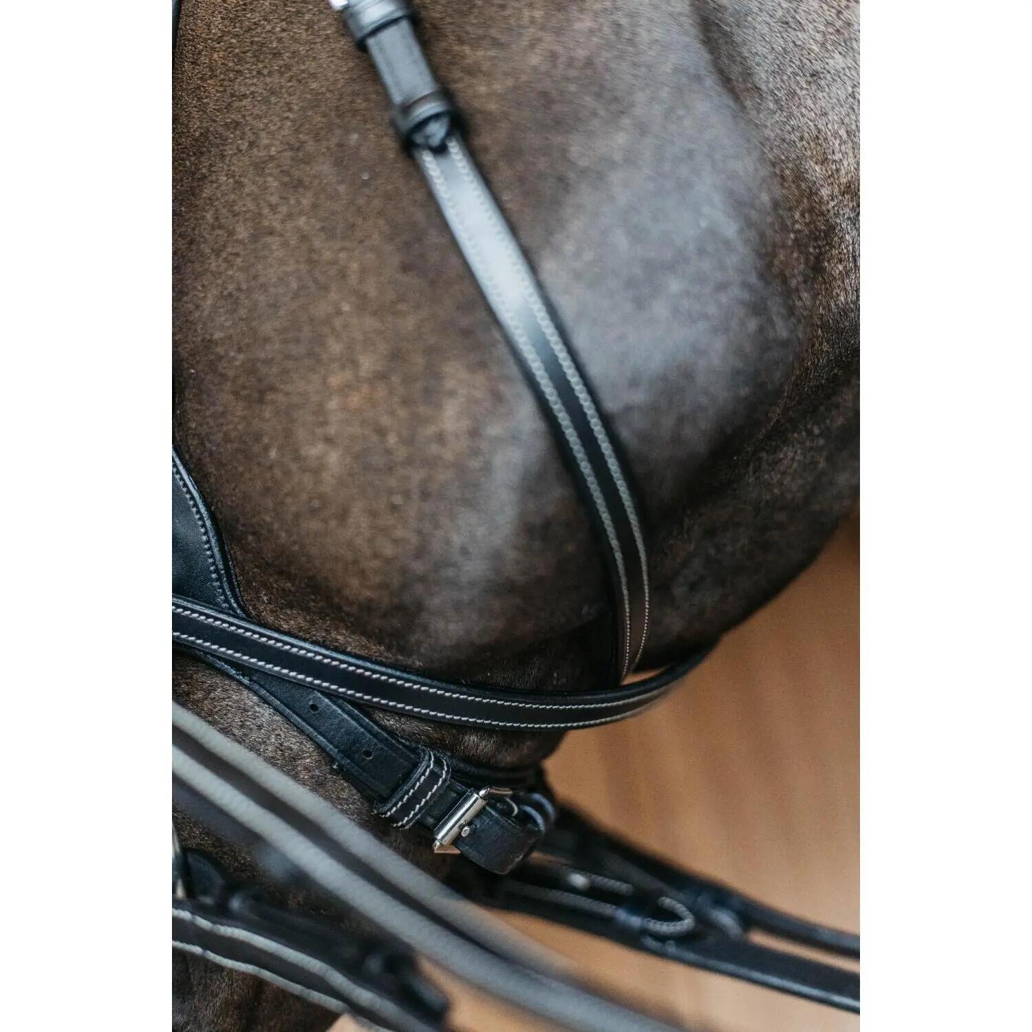 Briglia da equitazione Dy'on Working Motion 5/5