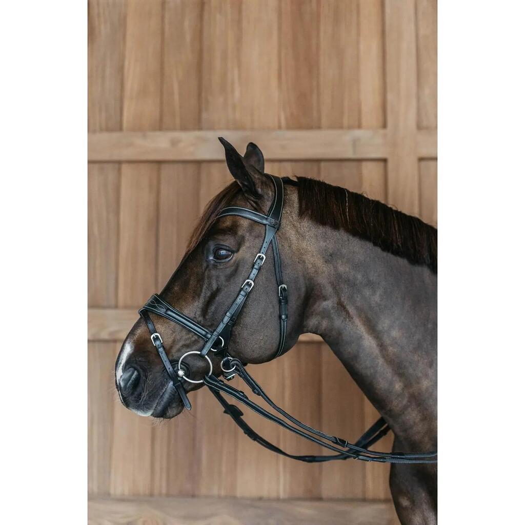 Riding bridle Dy'on Working Motion