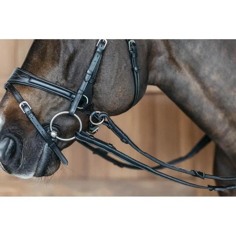 Briglia da equitazione Dy'on Working Motion 4/5