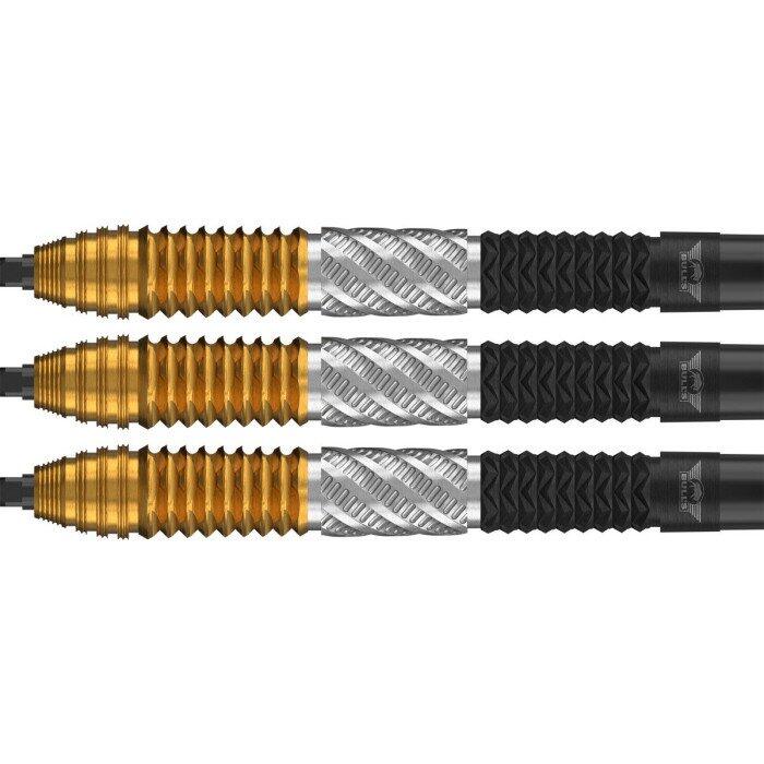 Dirk van Duijvenbode 95% CP 24g Steeltip 3/5
