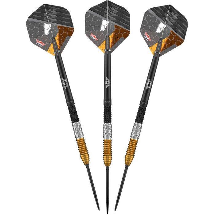 Dirk van Duijvenbode 95% CP 24g Steeltip 5/5