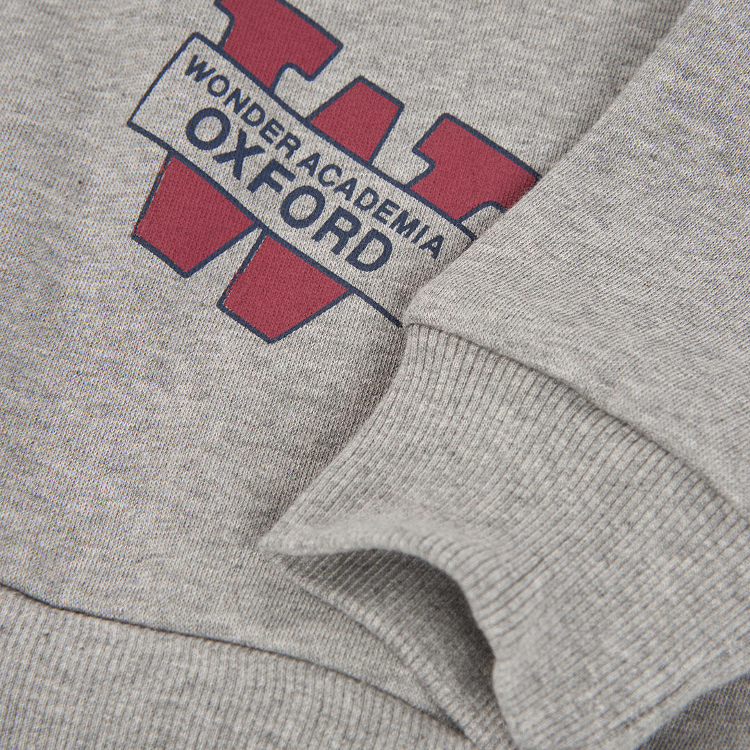 Sudadera felpa niño gris vigoré estampada 4/4