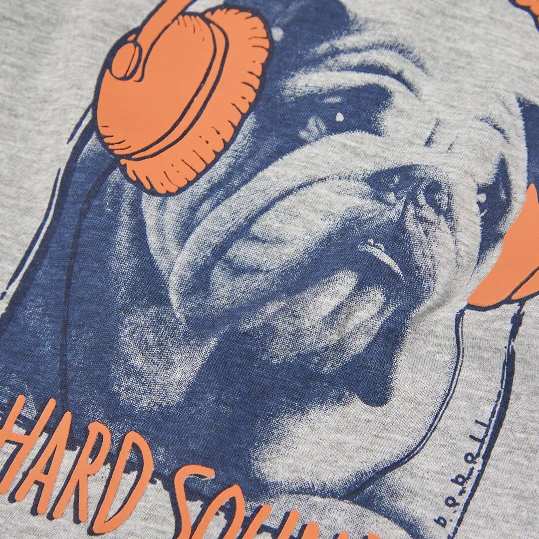 Camiseta punto niño gris vigoré estampado perro 3/4