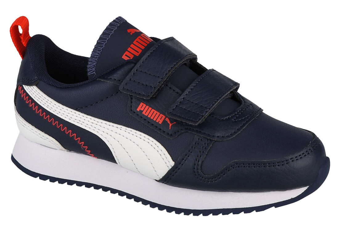 PUMA picture