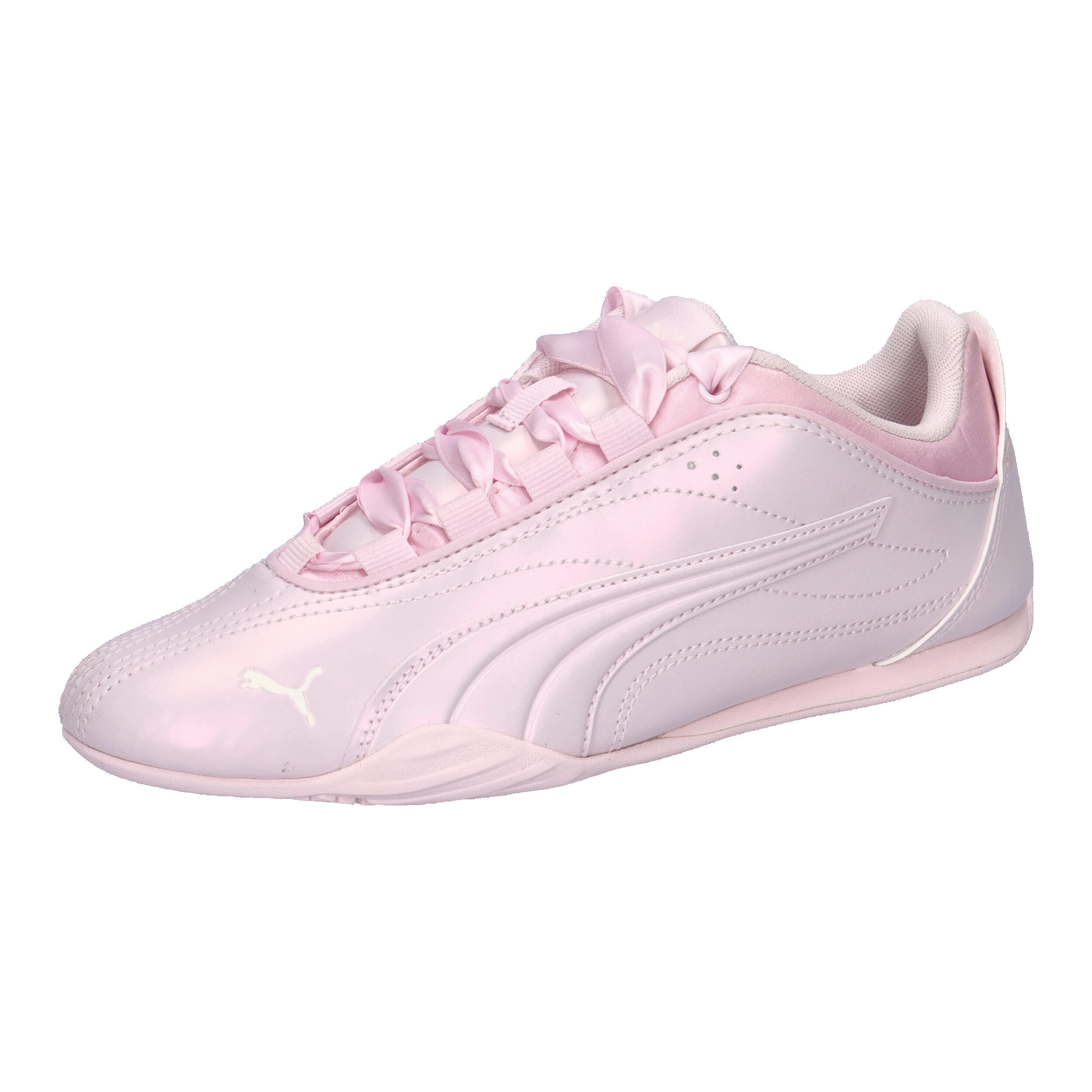 PUMA picture