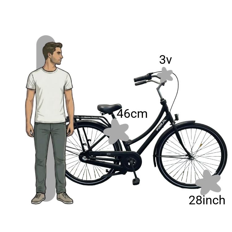 Bicicleta usada Gazelle Puur NL 2/4
