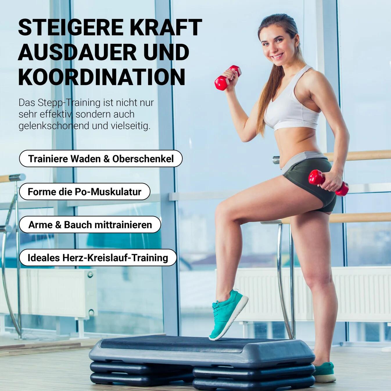 Stepper profesional 6/7
