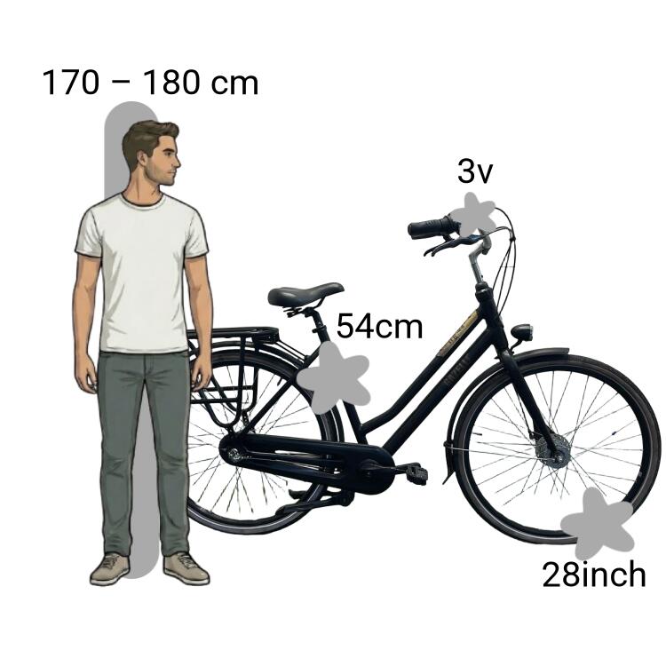 Gebraucht Gazelle NL 2/4