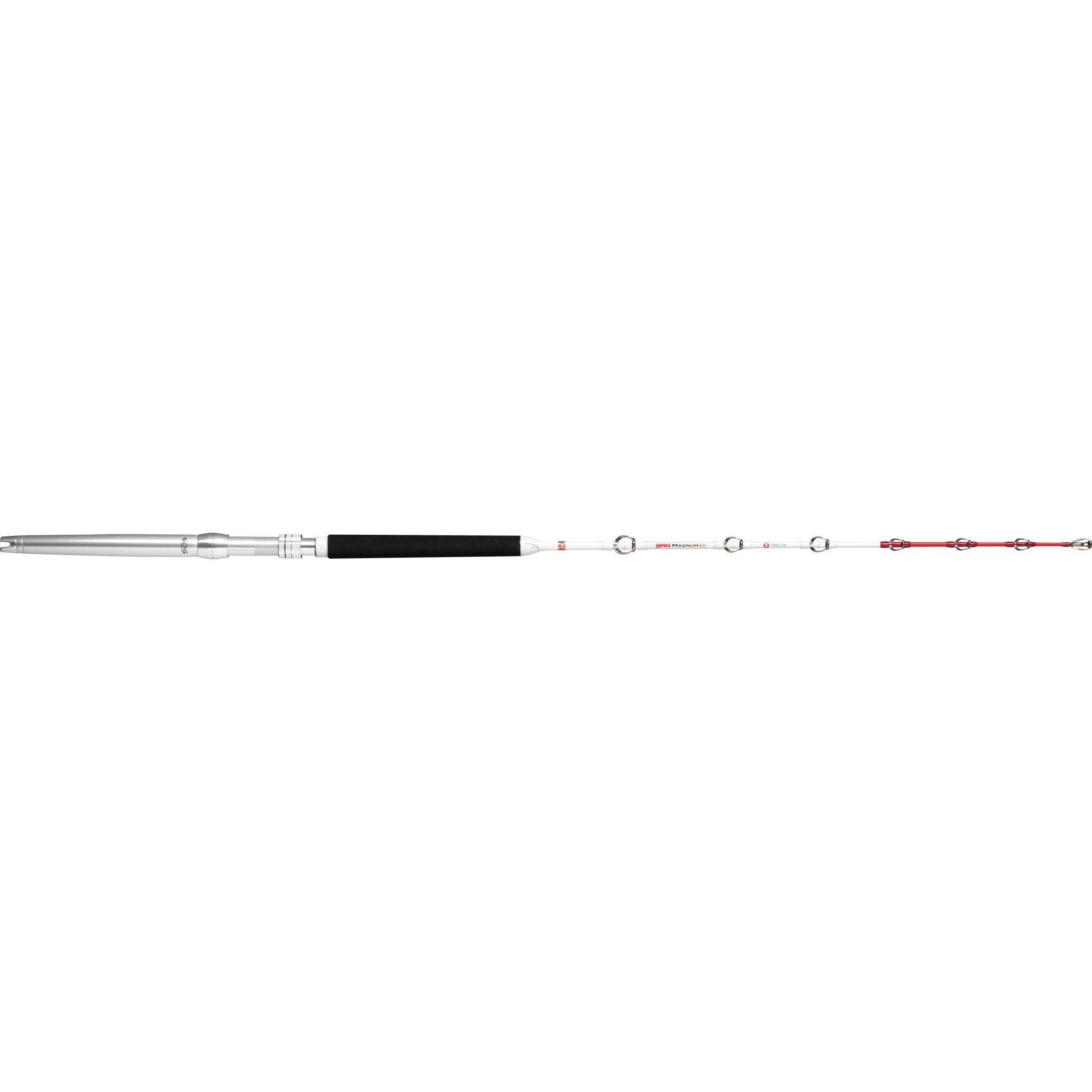 RAPALA picture