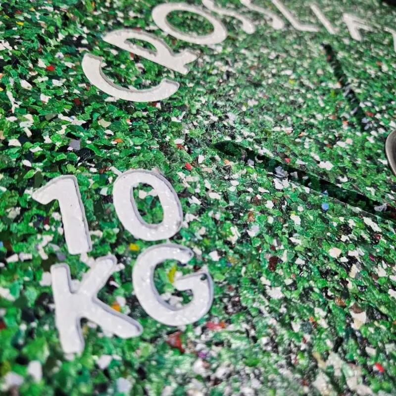 Bumper Plate GreenLift - Unità 10 kg 2/5