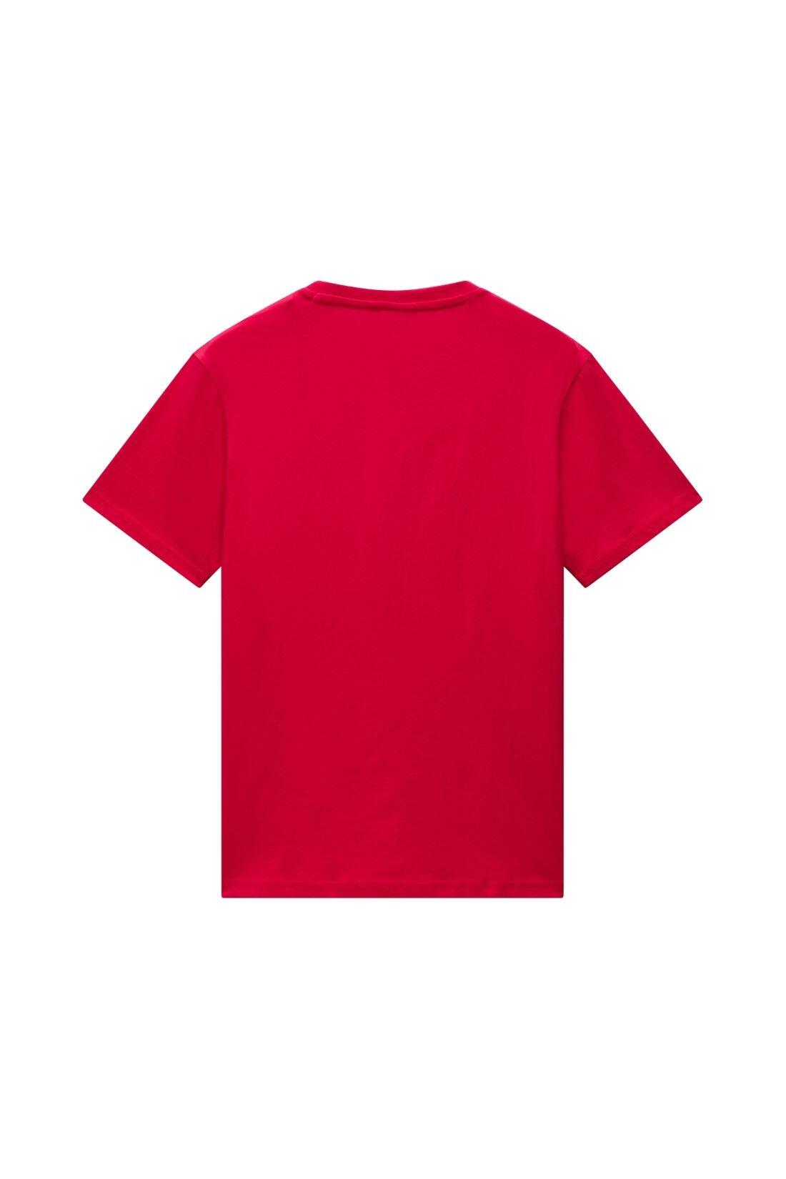 NAPAPIJRI - T-shirt uomo Suri 2/3