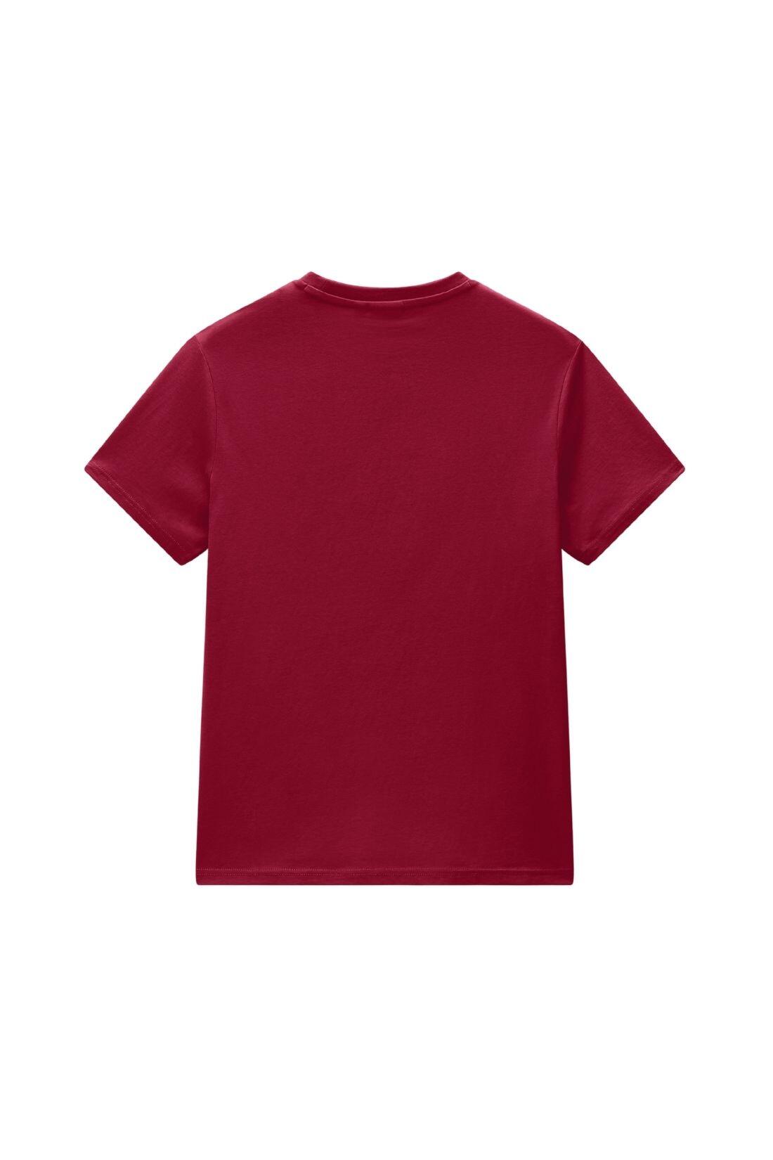 NAPAPIJRI - T-shirt uomo Suri 2/3