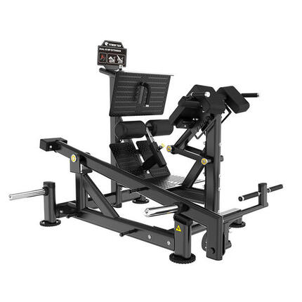Hyperextension lombaire et fessiers | Machine à levier double Pro Tech Series