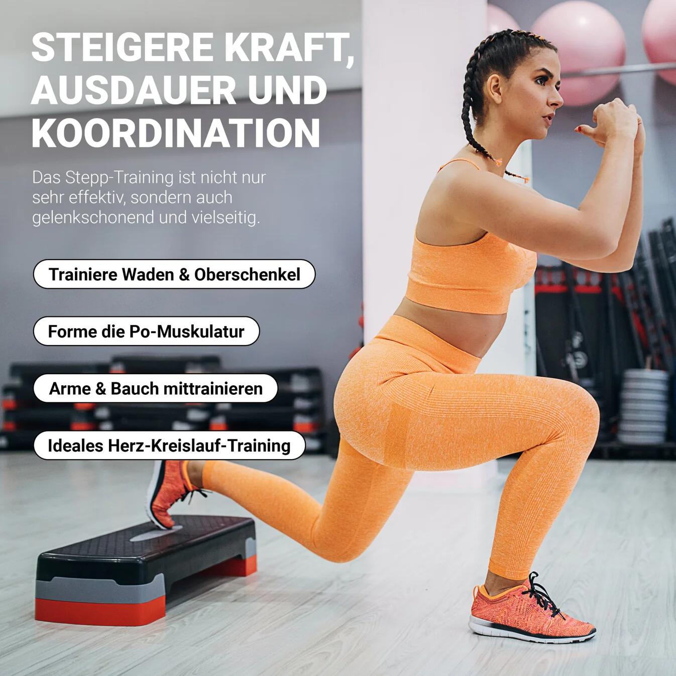 Stepper para casa 6/7