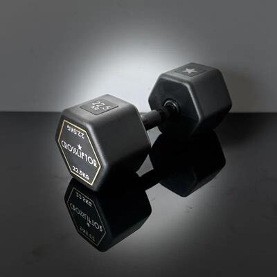 Dumbbell halter crossliftor 2.0 – 22,5 kg