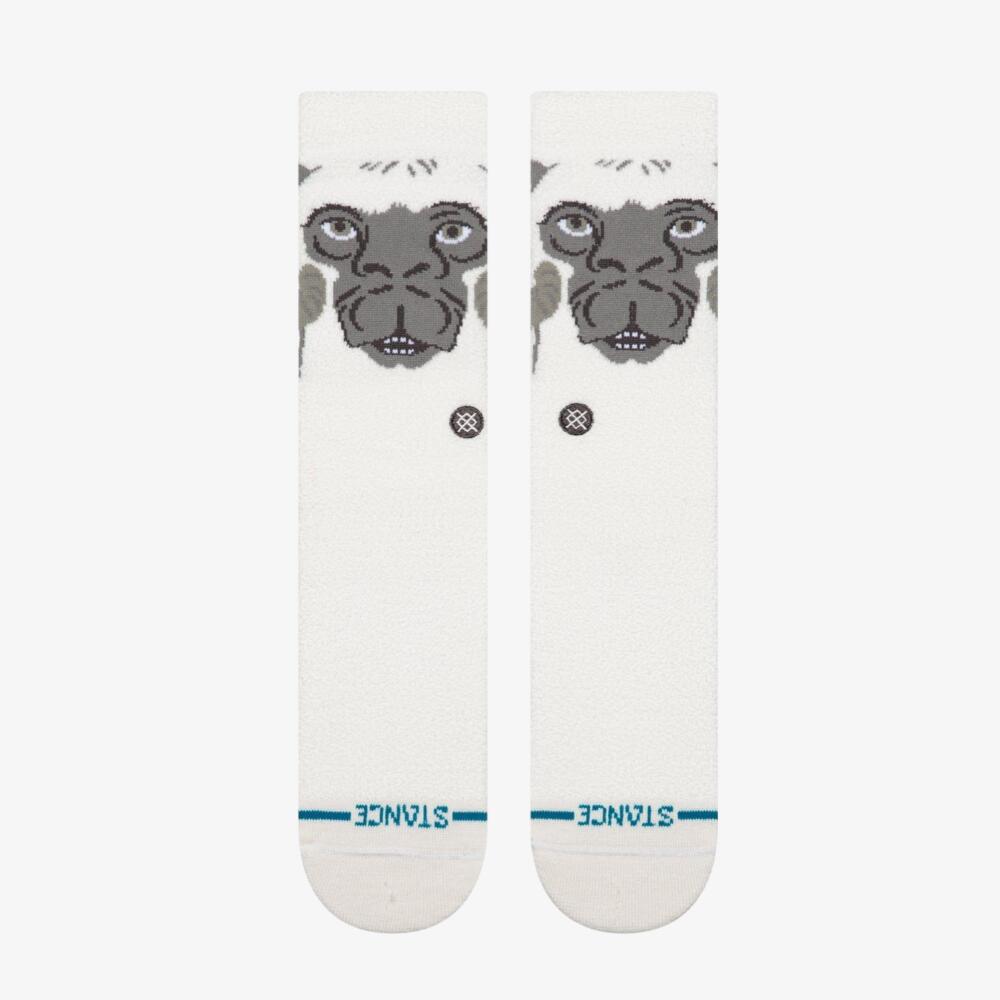 STANCE picture