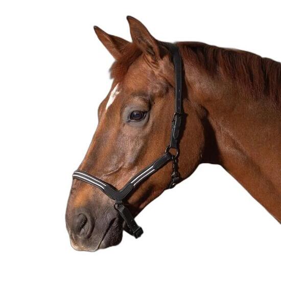 Licol pour cheval en cuir Harry's Horse Flash