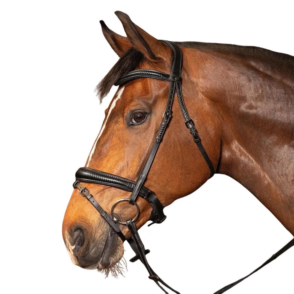 Zăbala Harry\'s Horse Anatomica Soft Carbon