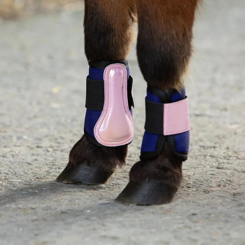 HARRYS HORSE picture