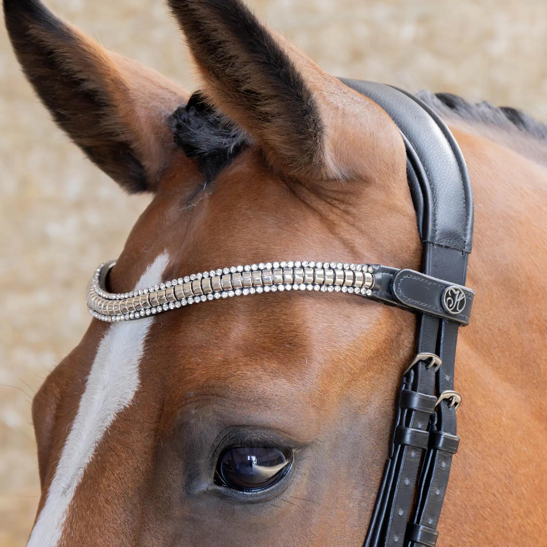 Frontal para caballo Harry's Horse Clincher 2/2
