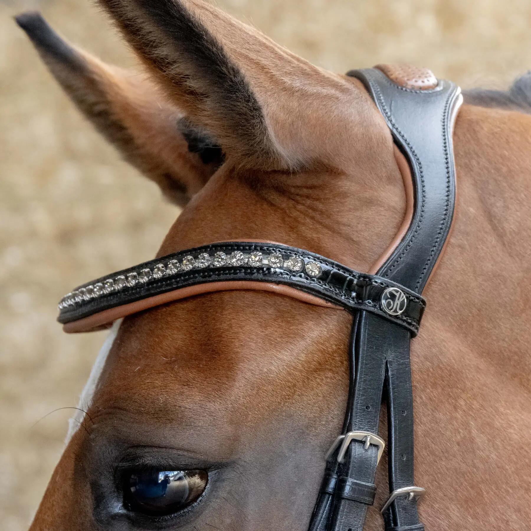 Briglia combinata da equitazione con nasello Harry's Horse 3/4