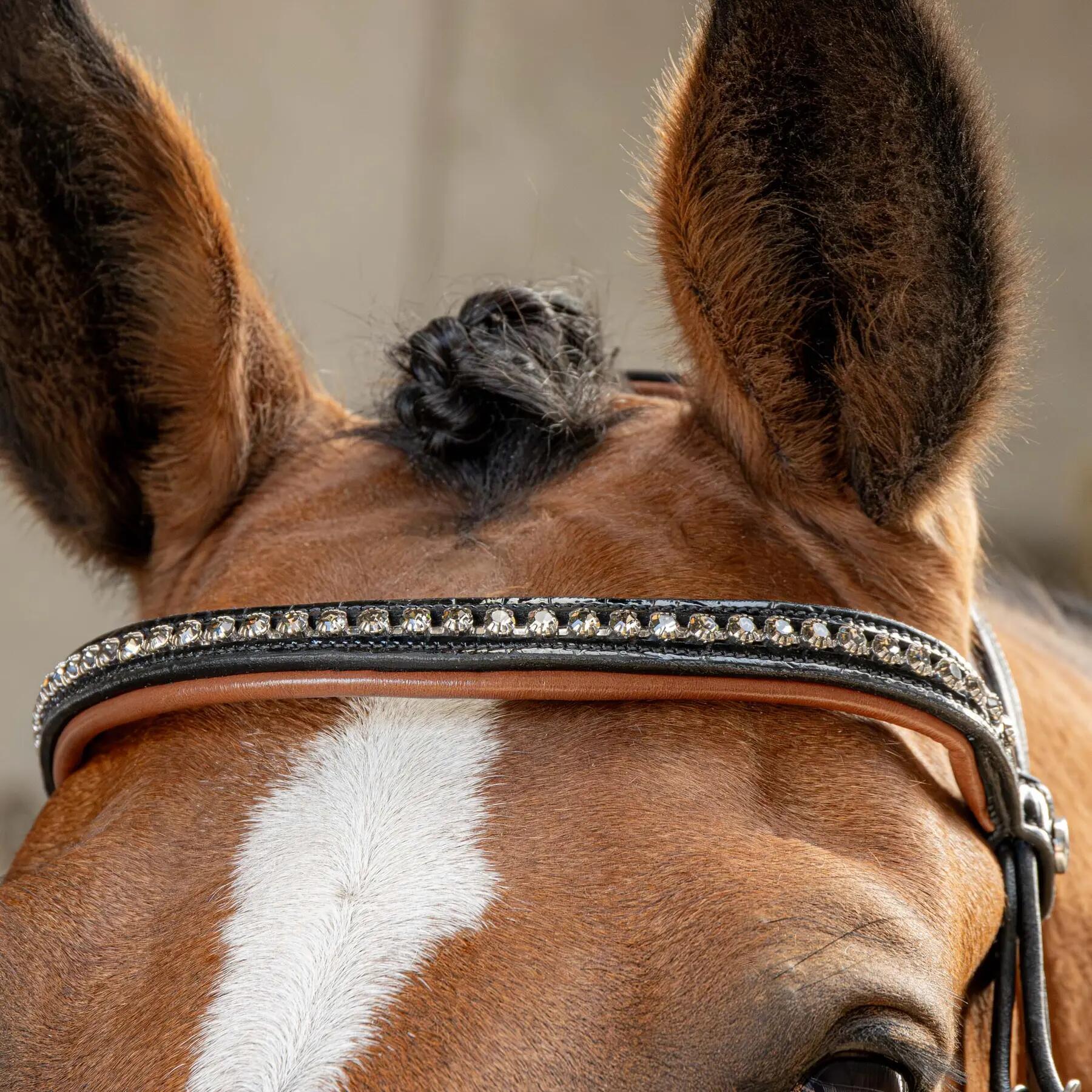 Briglia combinata da equitazione con nasello Harry's Horse 2/4