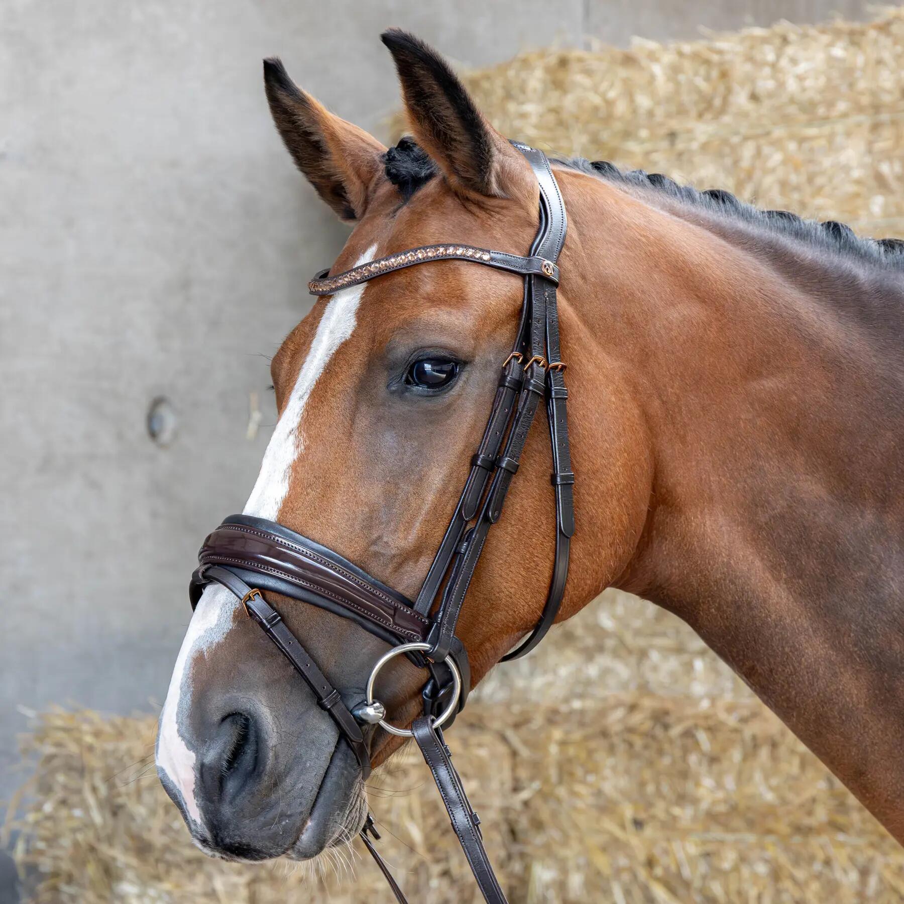 Zabala calarie Harry's Horse cu muserola combinata