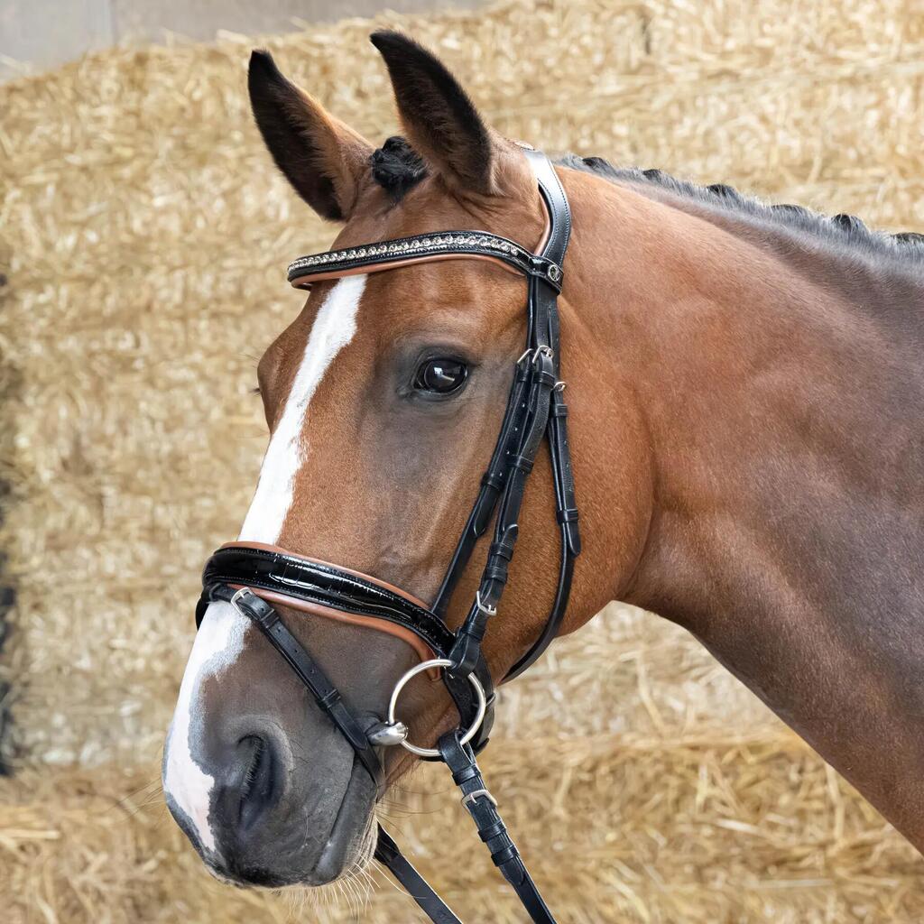 Combined riding bridle and noseband Harry's Horse