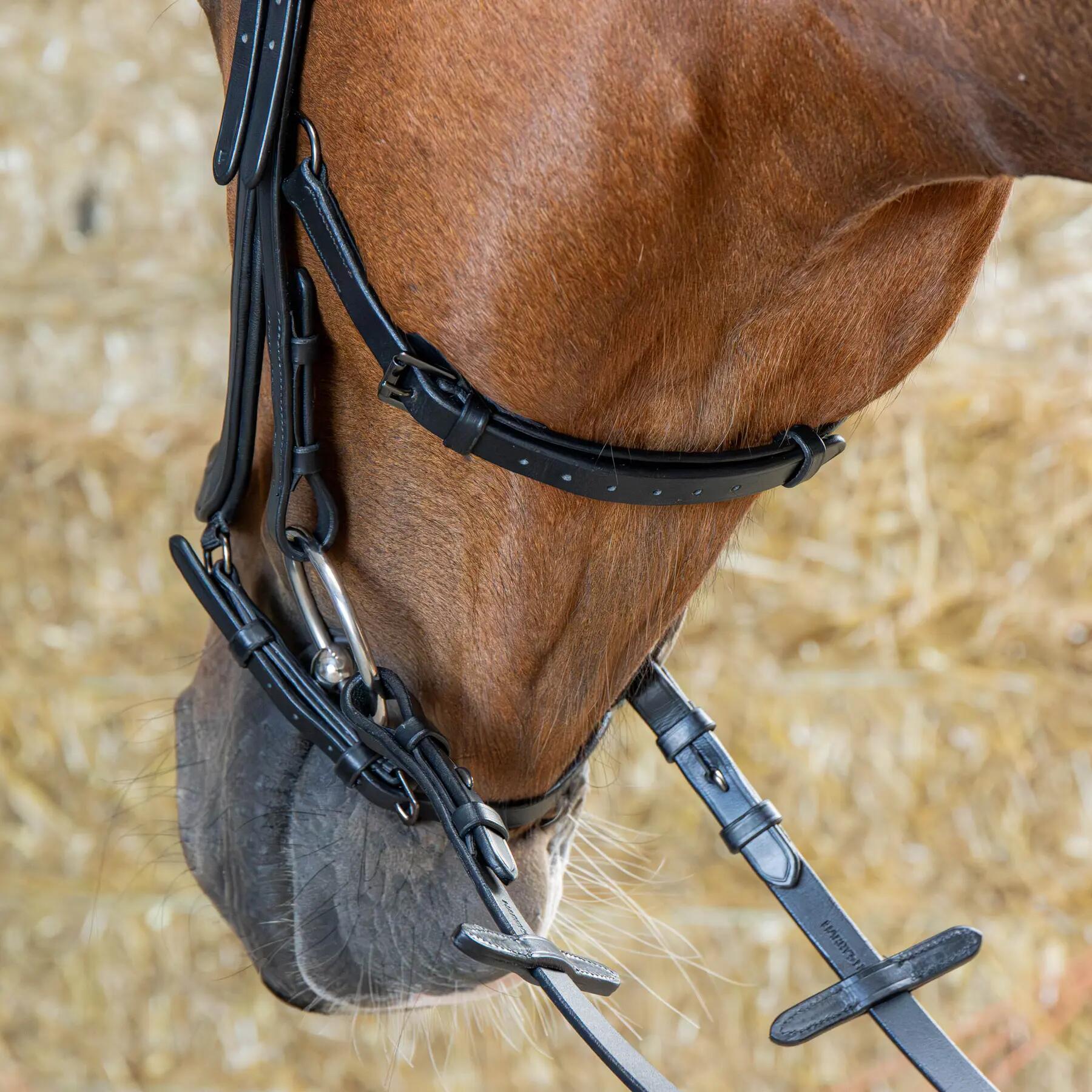 Bridons équitation pour cheval anatomique Harry's Horse 5/5