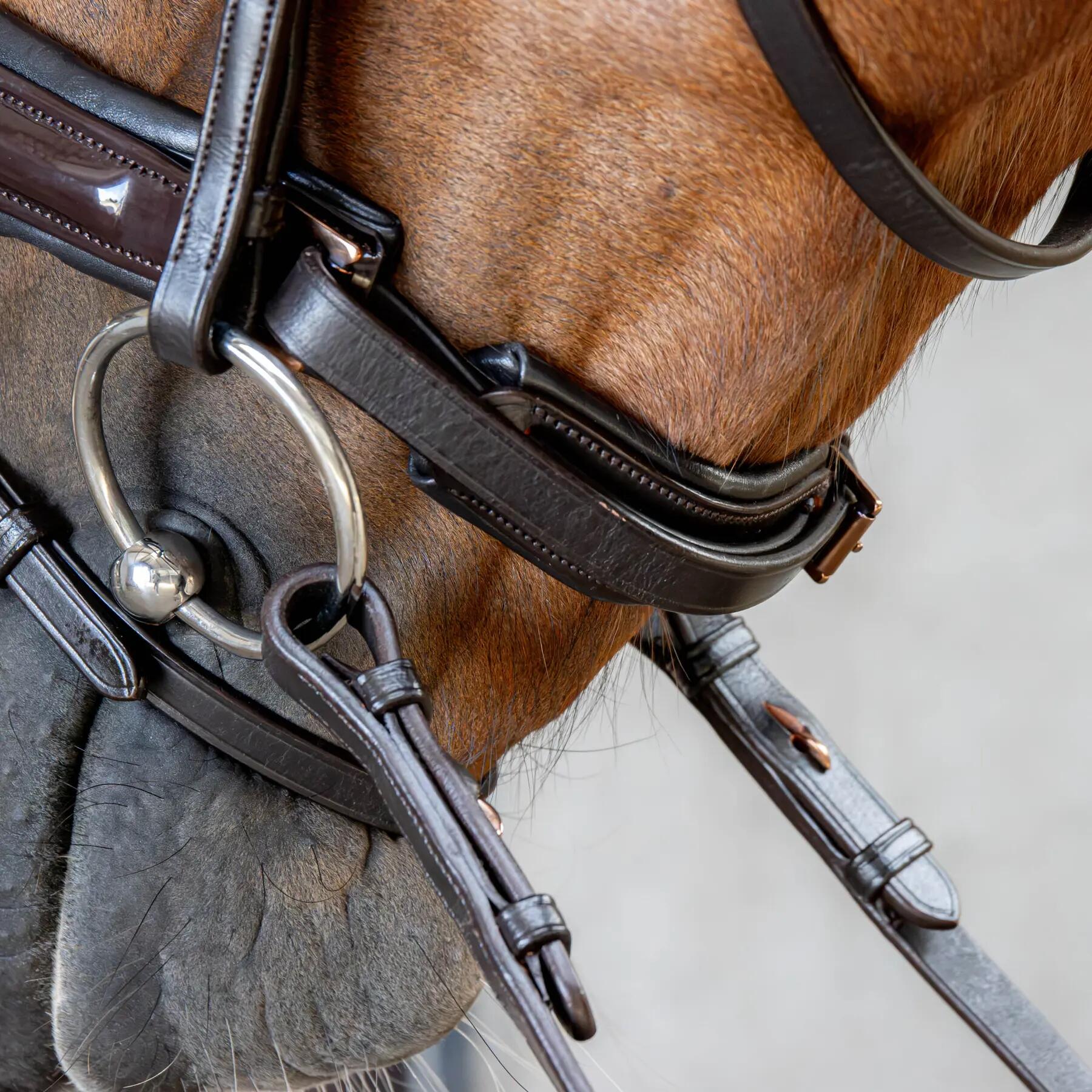 Cabeçada de equitação combinada com fita para o nariz Harry's Horse Copper 4/4