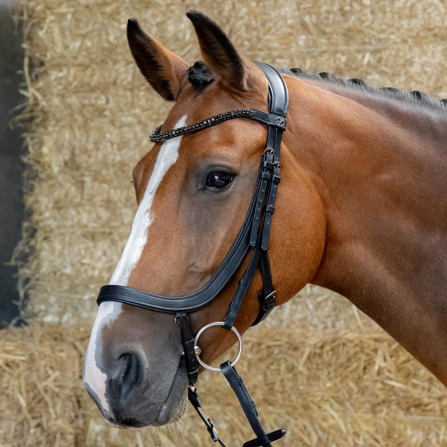 Bride anatomica Harrys Horse pentru cai