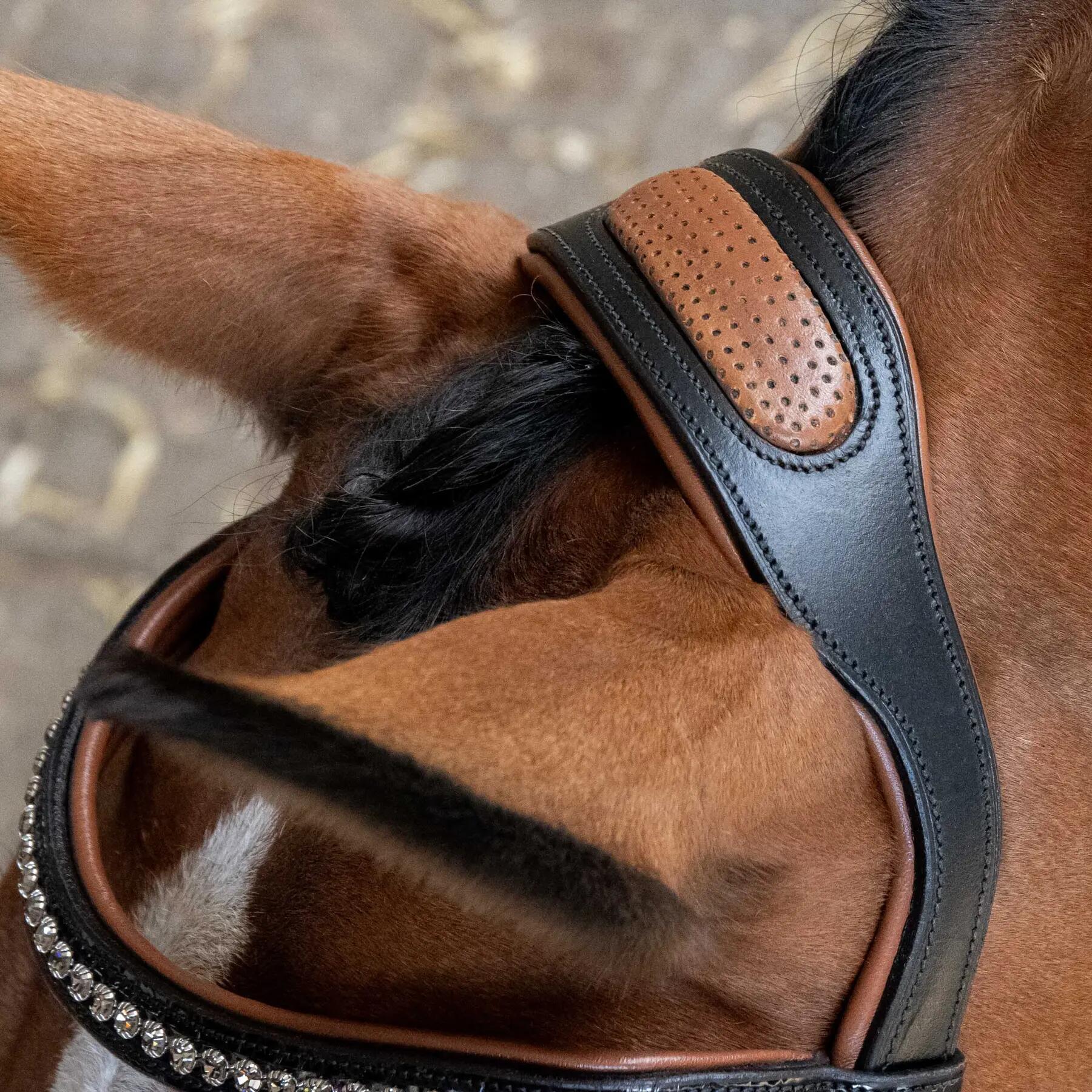 Briglia combinata da equitazione con nasello Harry's Horse 4/4