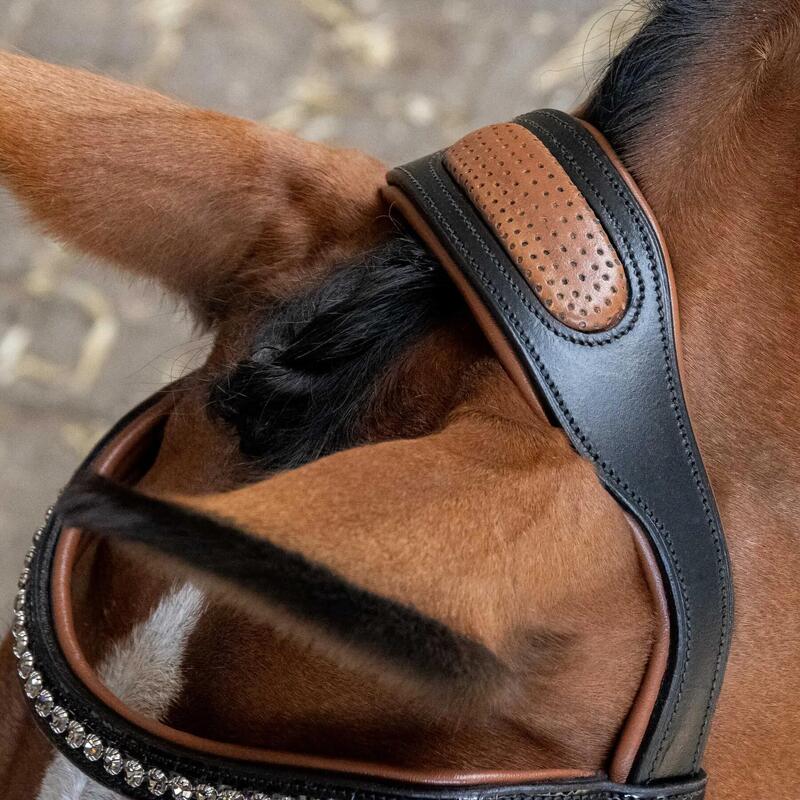 Bridon Harry's Horse cu muserolă combinată