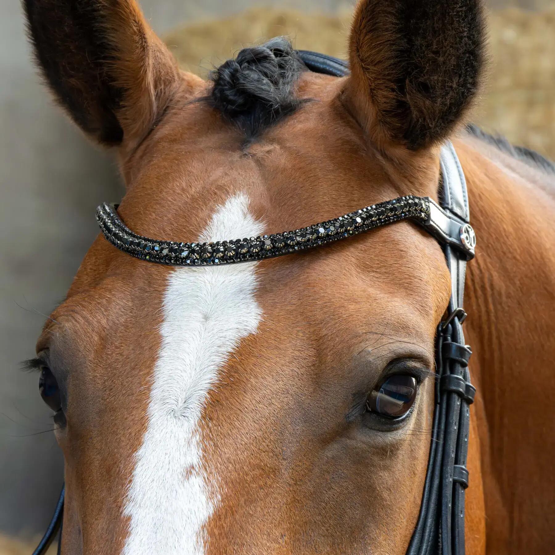 Anatomische Reittrensen für Pferde Harry's Horse 4/5