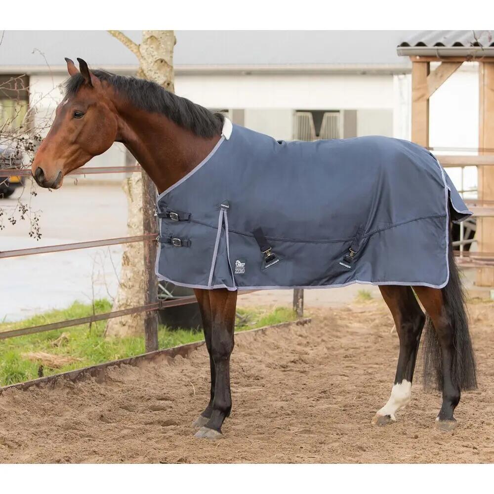 HARRYS HORSE picture