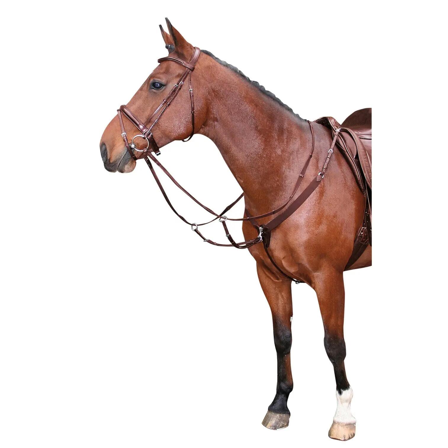 Collier de chasse élastique pour cheval Harry's Horse 2/2